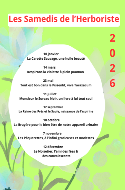 Texte alternatif