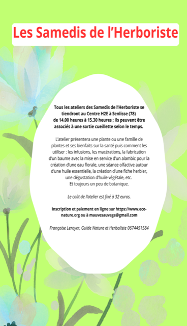 Texte alternatif